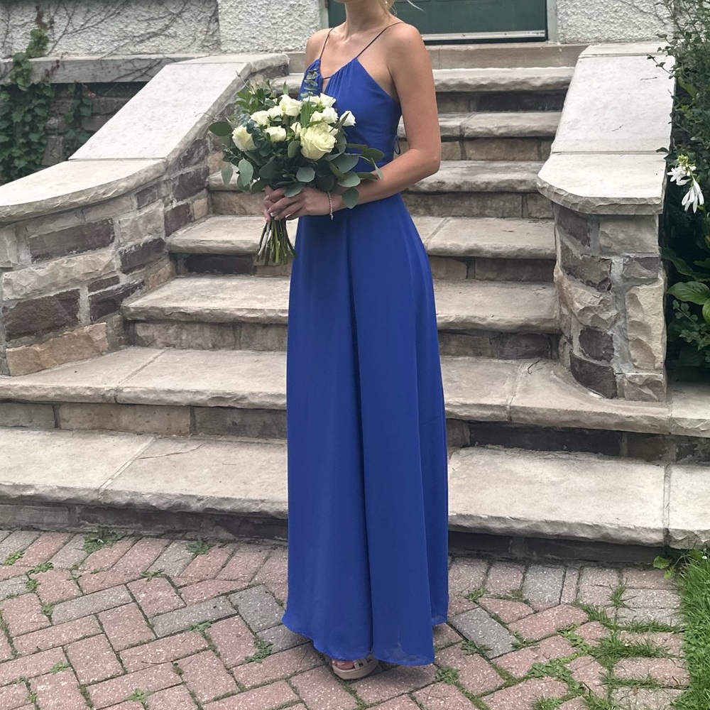 RW&CO. Clematis Blue Gown - Picture 7 of 8